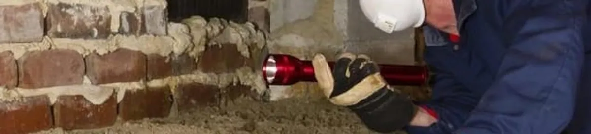 Pest control technician inspecting a crawl space for ant activity and entry points in Charleston, SC