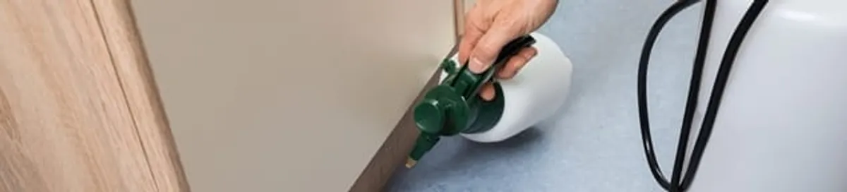 Bed bug exterminator treating baseboards and cracks with targeted spray in Charleston, SC