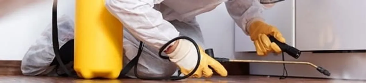 Roach exterminator treating cracks and crevices along kitchen baseboards in Charleston, SC