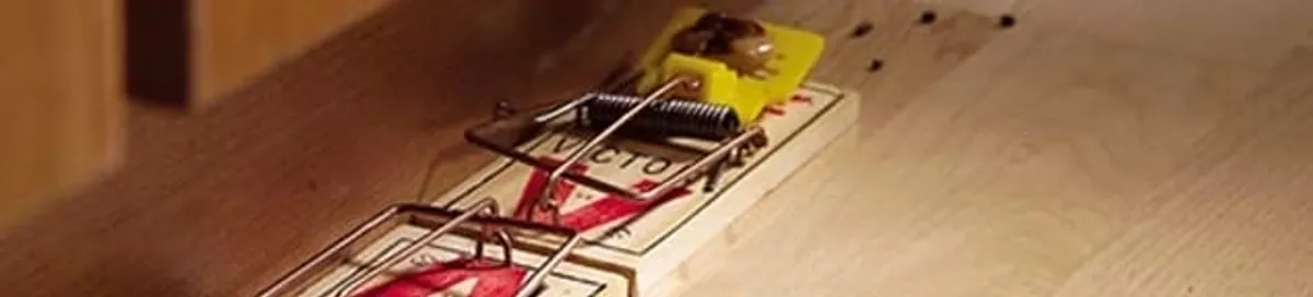 Rodent trap set indoors for rodent control and prevention in Charleston, SC